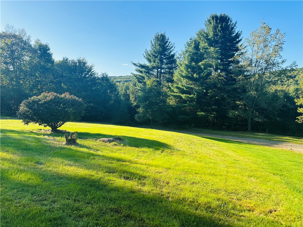 1660 Pine Swamp Road Tompkins, NY 13839 - Photo 27 of 27 Gallery Image 27