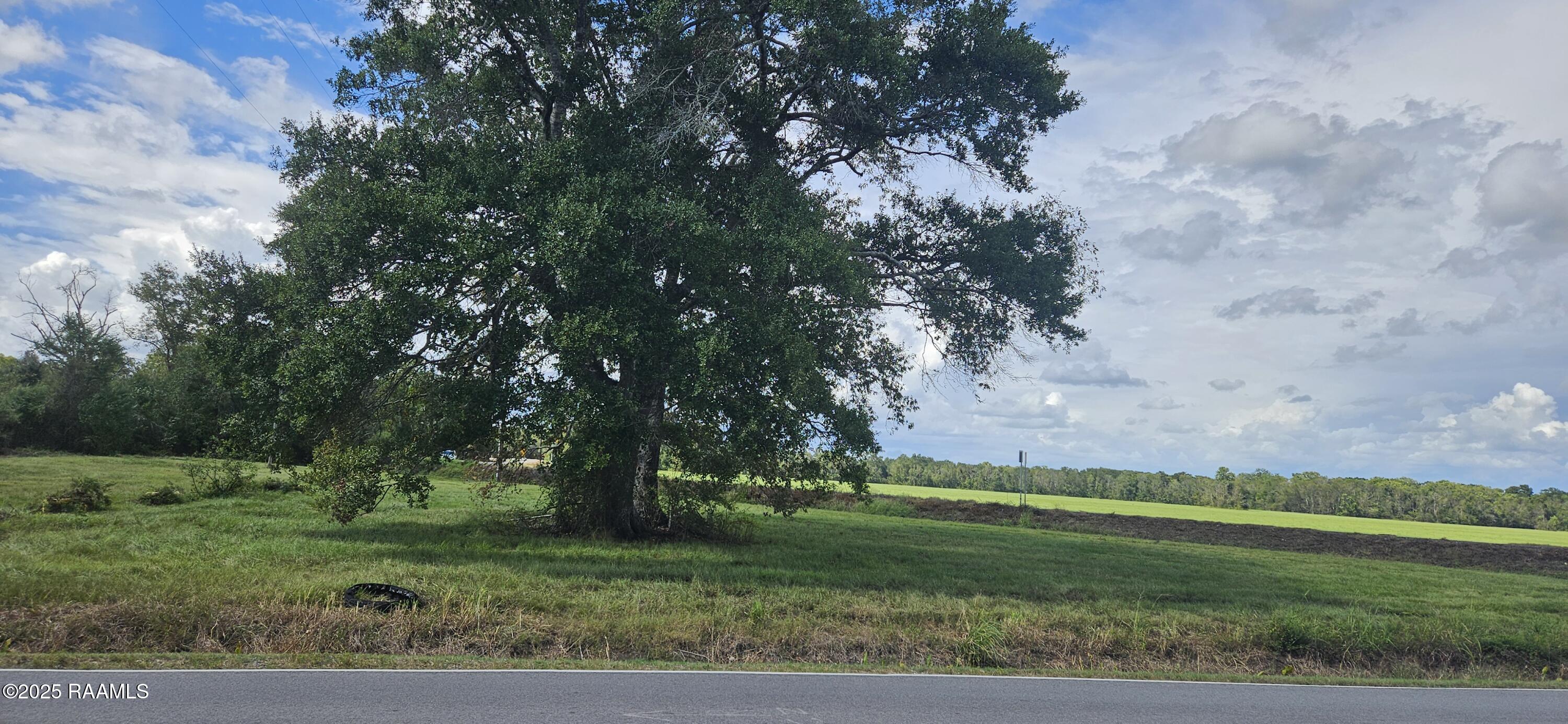 1014-tbd Duchamp Road Broussard, LA 70518 - Photo 2 of 7 Pic 3