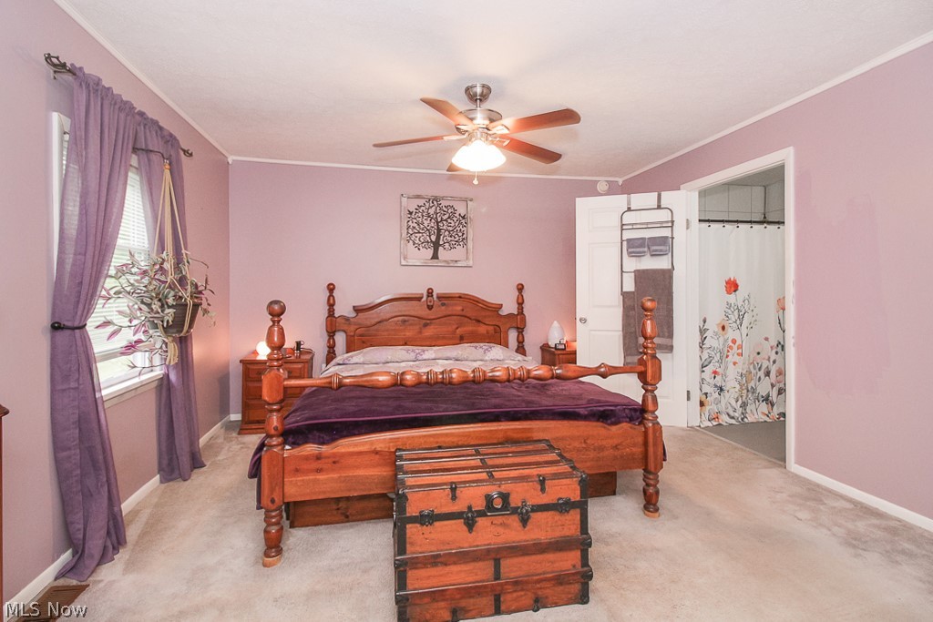10948 Butternut Ridge Road Elyria, OH 44035 - Photo 12 of 15 Gallery Image 12