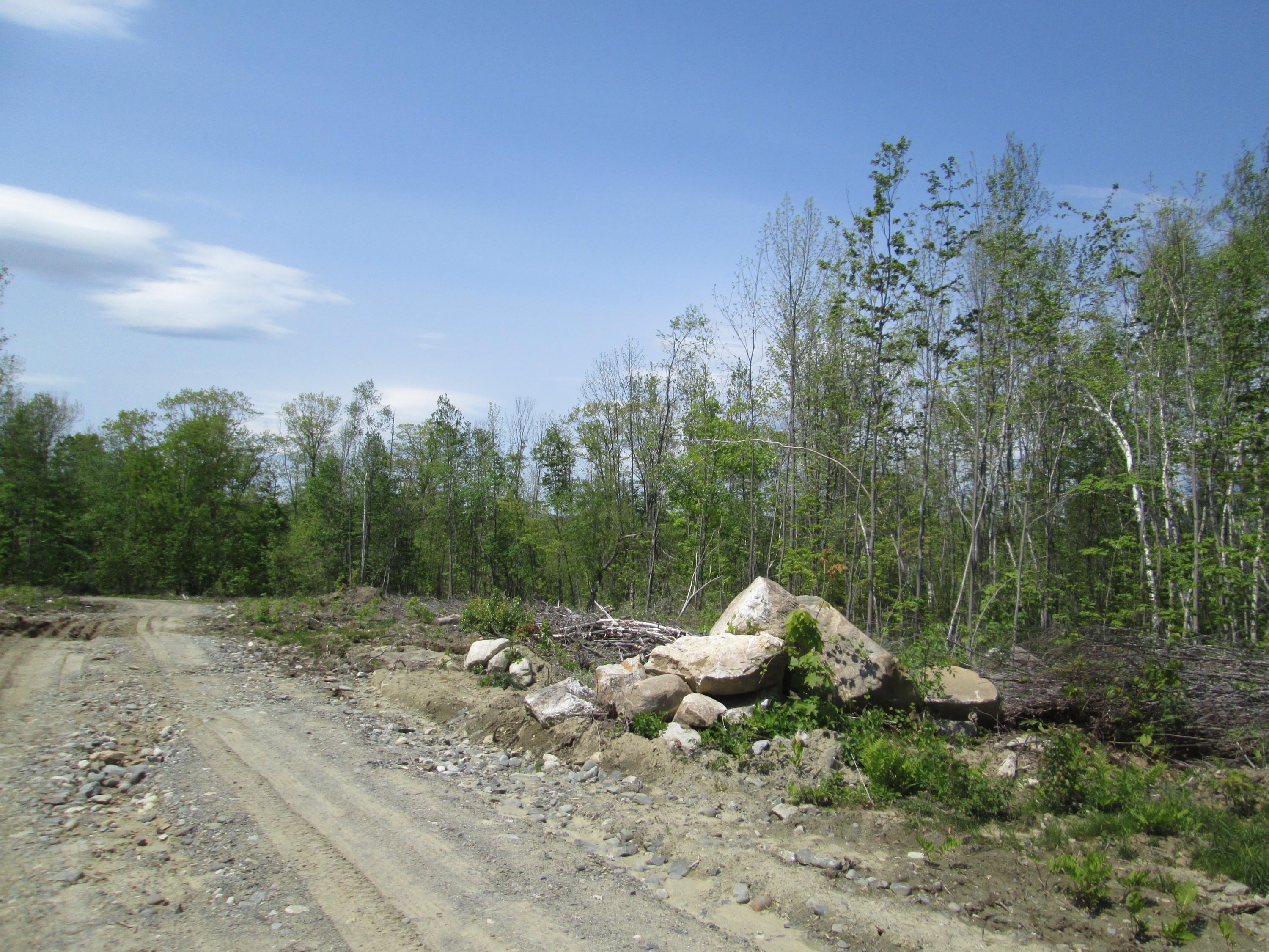 0 Blake Hill Road Mount Vernon, ME 04352 - Photo 5 of 7 dillonphotoA