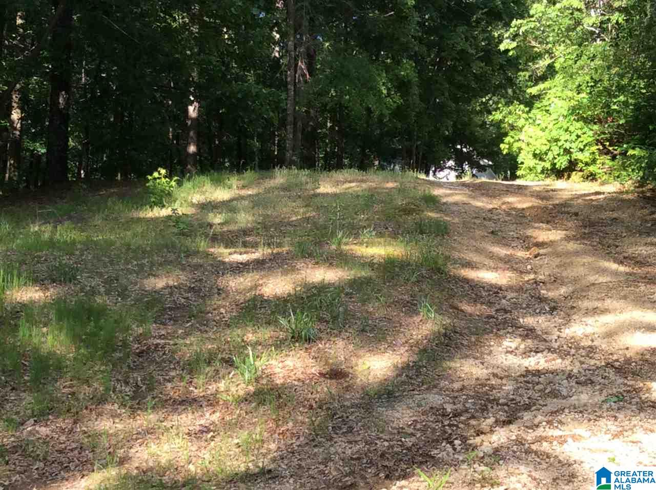 14495 Gallant Road Gallant, AL 35972 - Photo 31 of 48 Gallery Image 31