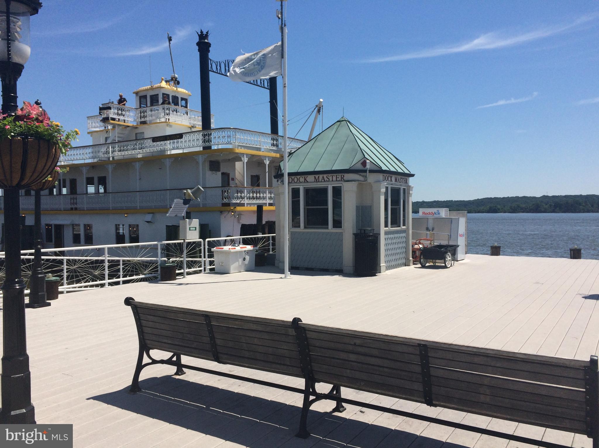 1422 Roundhouse Lane, Unit 1422 Alexandria, VA 22314 - Photo 53 of 73 a outdoor kitchen with a stove a sink and dishwasher