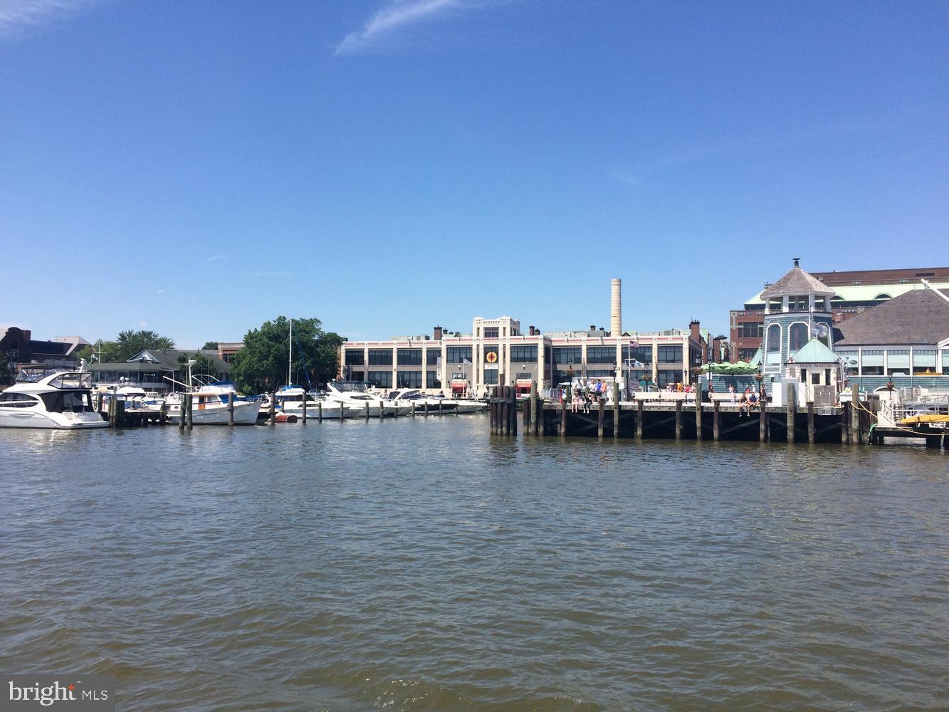 1422 Roundhouse Lane, Unit 1422 Alexandria, VA 22314 - Photo 73 of 73