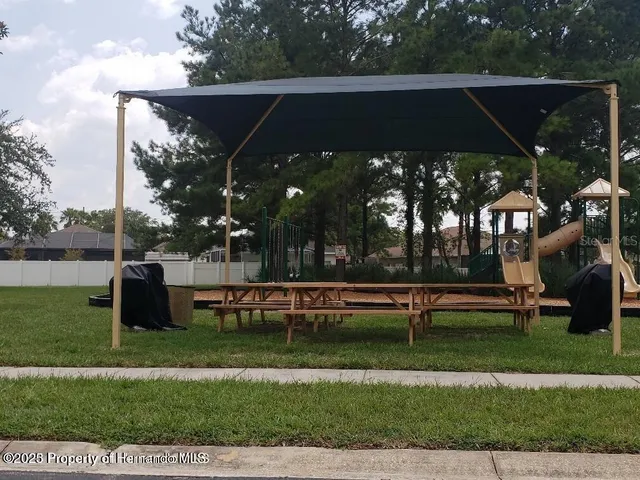 a view of a park with large trees