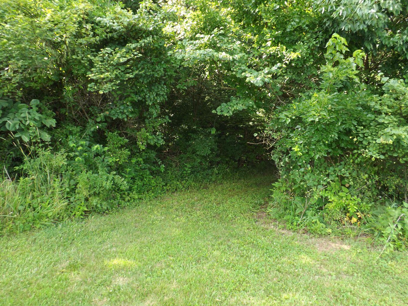 0 Fetters Road Bradford, OH 45308 - Photo 22 of 56