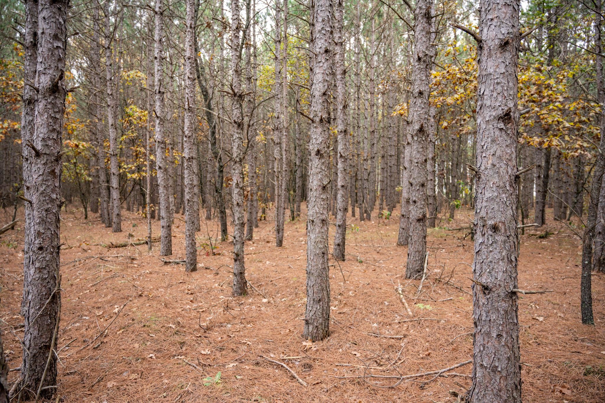 N10167 County Rd G Necedah, WI 54646 - Photo 21 of 63