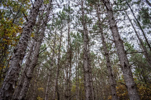 $399,900 | N10167 County Rd G, Necedah, WI 54646