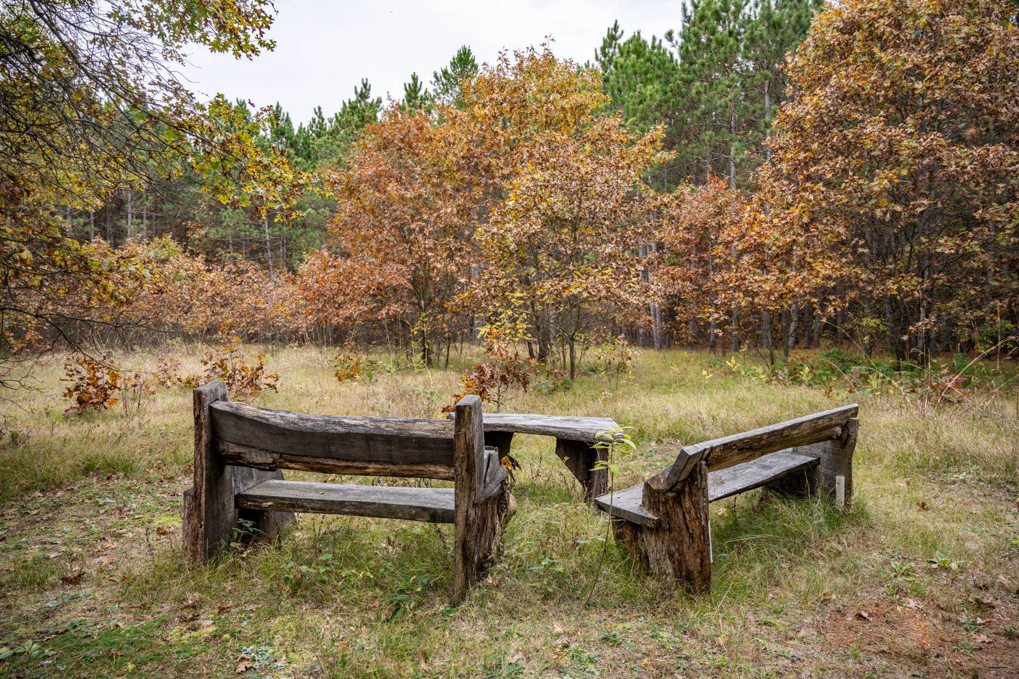 N10167 County Rd G Necedah, WI 54646 - Photo 57 of 63