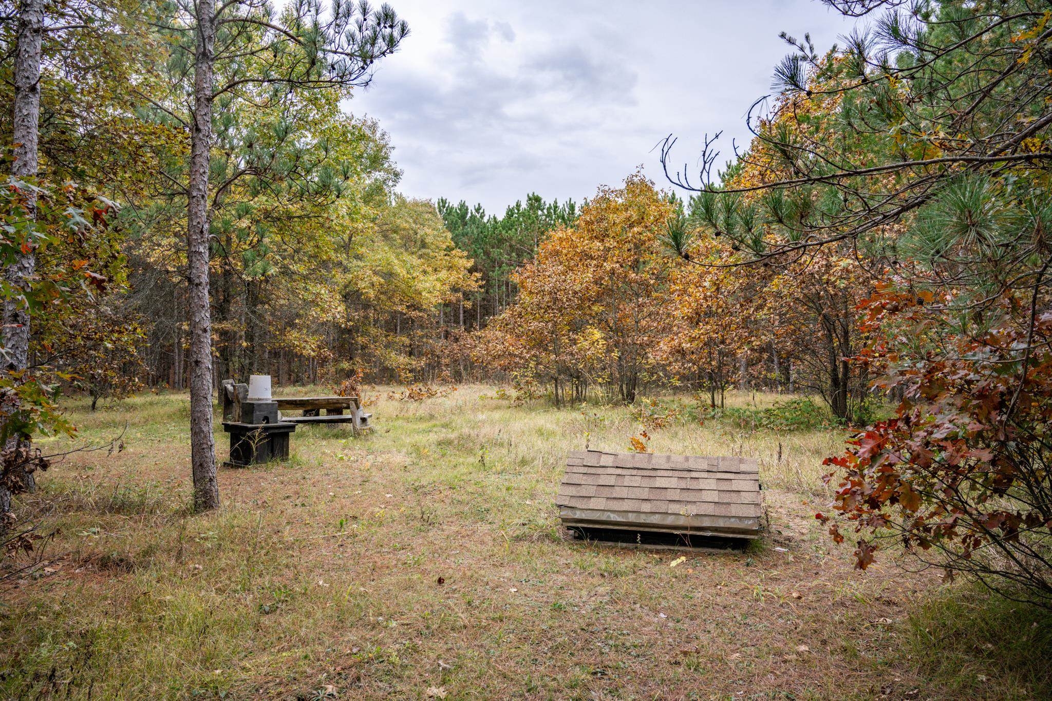 N10167 County Rd G Necedah, WI 54646 - Photo 58 of 63