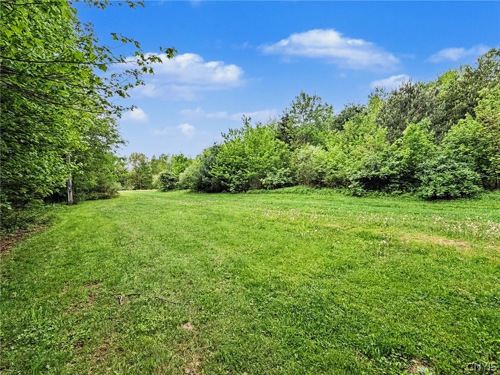 367 Andersen Hill Road Richford, NY 13736 - Photo 31 of 46 Land