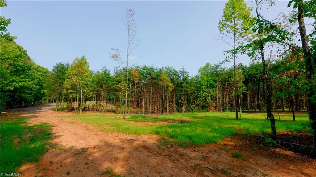7-8 Mountain View Road King, NC 27021 - Photo 3 of 33