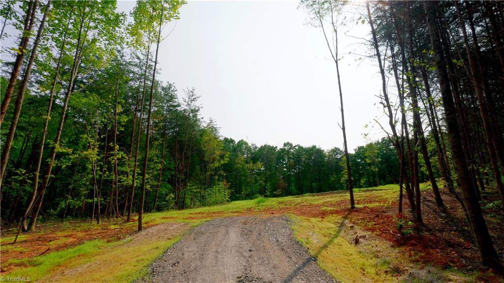7-8 Mountain View Road King, NC 27021 - Photo 7 of 33