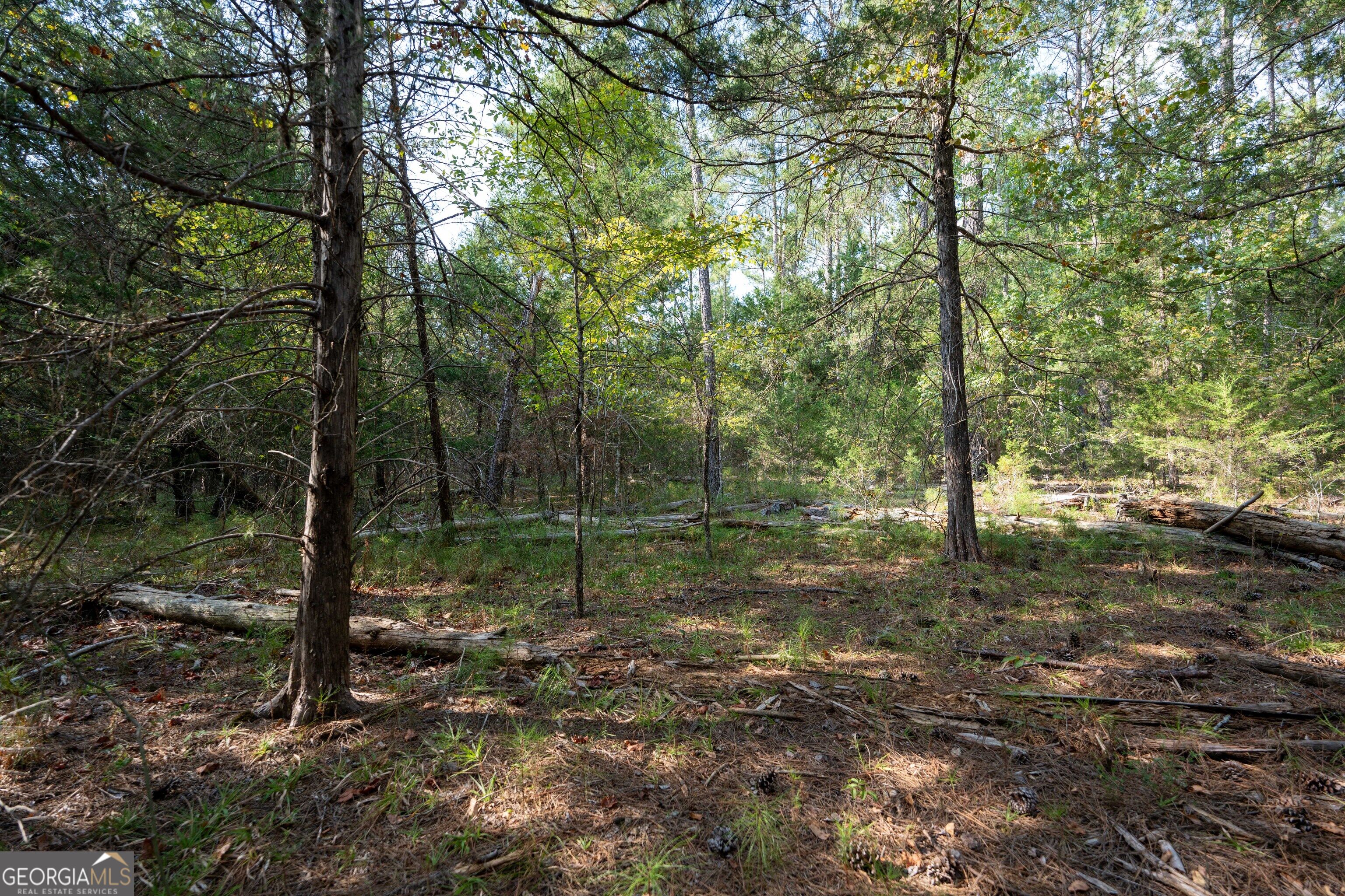 1419 Bobby Brown State Park Road Elberton, GA 30635 - Photo 78 of 90 Gallery Image 78