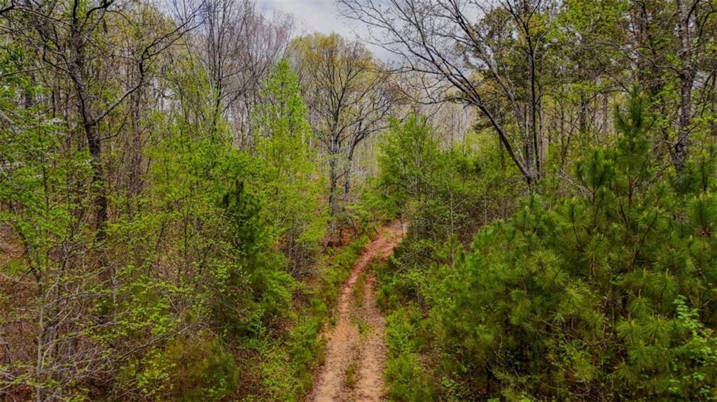 78-acr Cross Plains Road Carrollton, GA 30116 - Photo 10 of 13