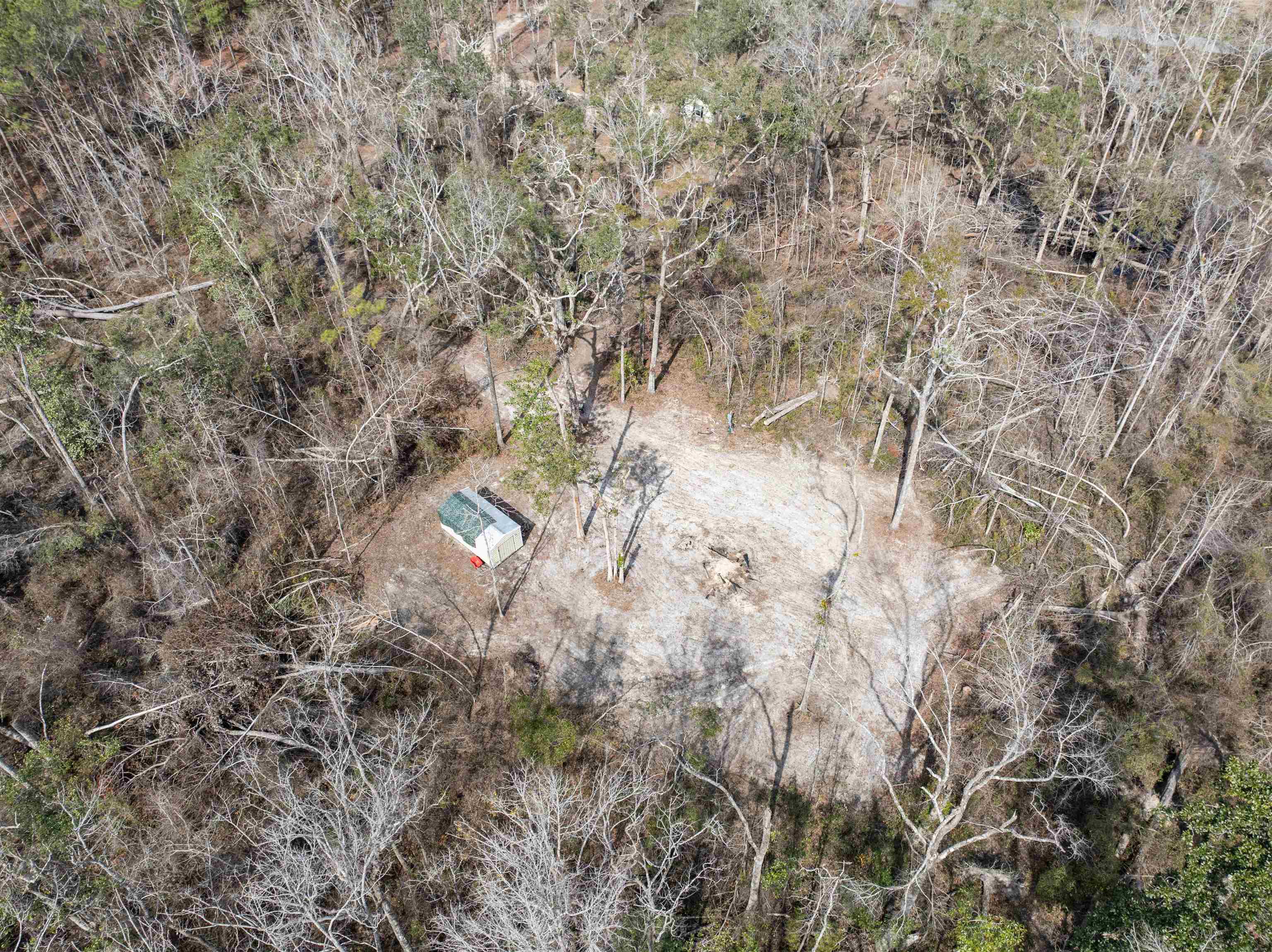 1797 Northwest Settlement Road Madison, FL 32340 - Photo 17 of 37 Gallery Image 17