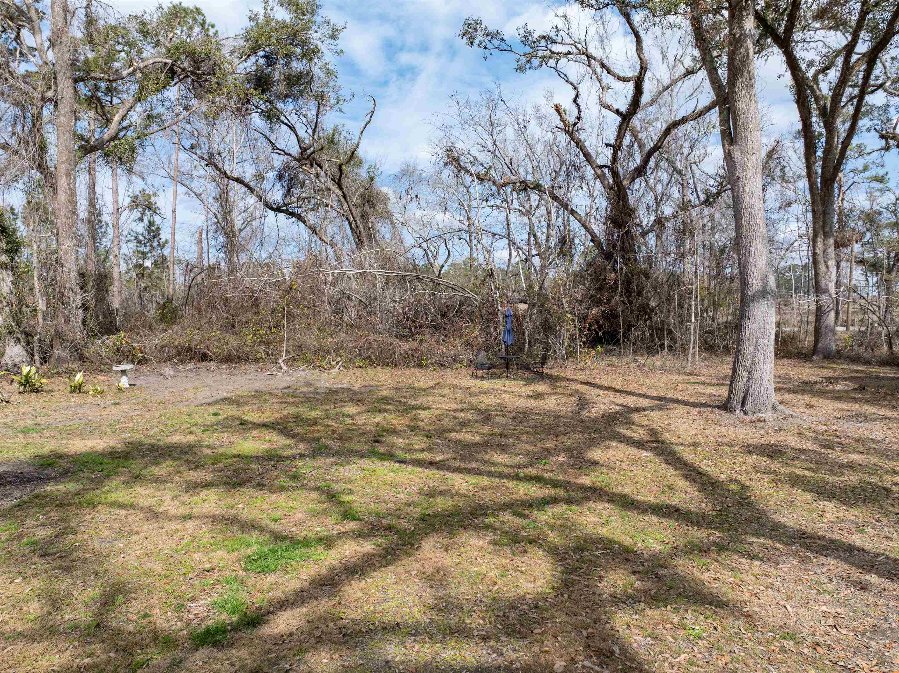 1797 Northwest Settlement Road Madison, FL 32340 - Photo 9 of 37 Gallery Image 9