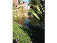 452 Dempsey Road, Unit 254 Milpitas, CA 95035 - Photo 12 of 13 Gallery Image 12