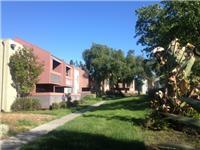 452 Dempsey Road, Unit 254 Milpitas, CA 95035 - Photo 3 of 13 Gallery Image 3