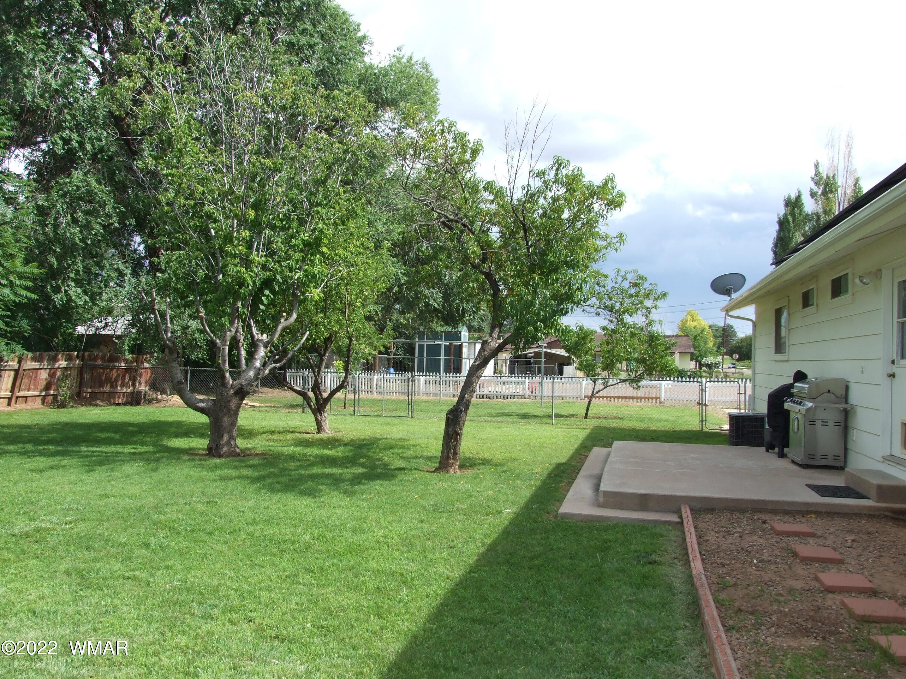 49 North 4th W Street Snowflake, AZ 85937 - Photo 17 of 34 a view of a park with large trees