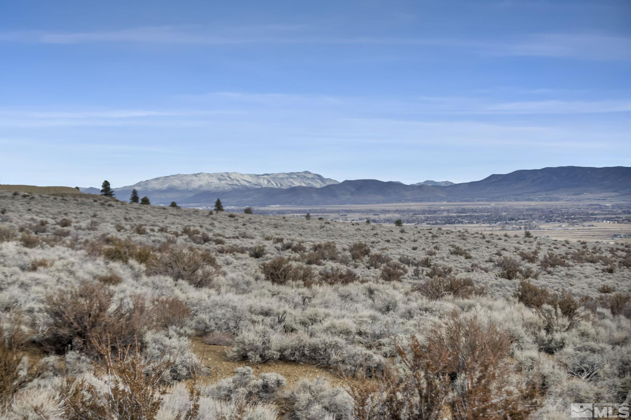 Lot 10 Hawkins Peak Road, Unit 10 Markleeville, CA 96120 - Photo 15 of 27 a view of a dry field