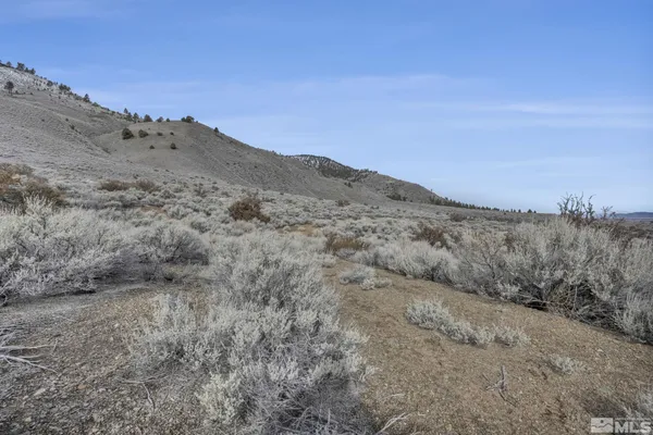 a view of a dry space with lots of bushes