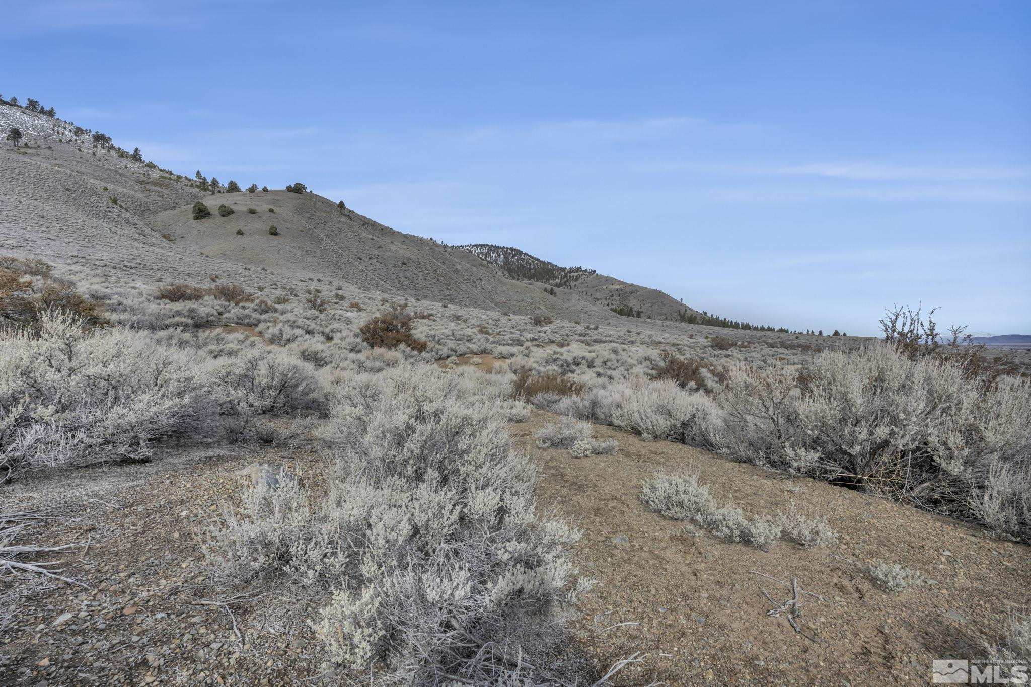 Lot 10 Hawkins Peak Road, Unit 10 Markleeville, CA 96120 - Photo 27 of 27 a view of a dry space with lots of bushes