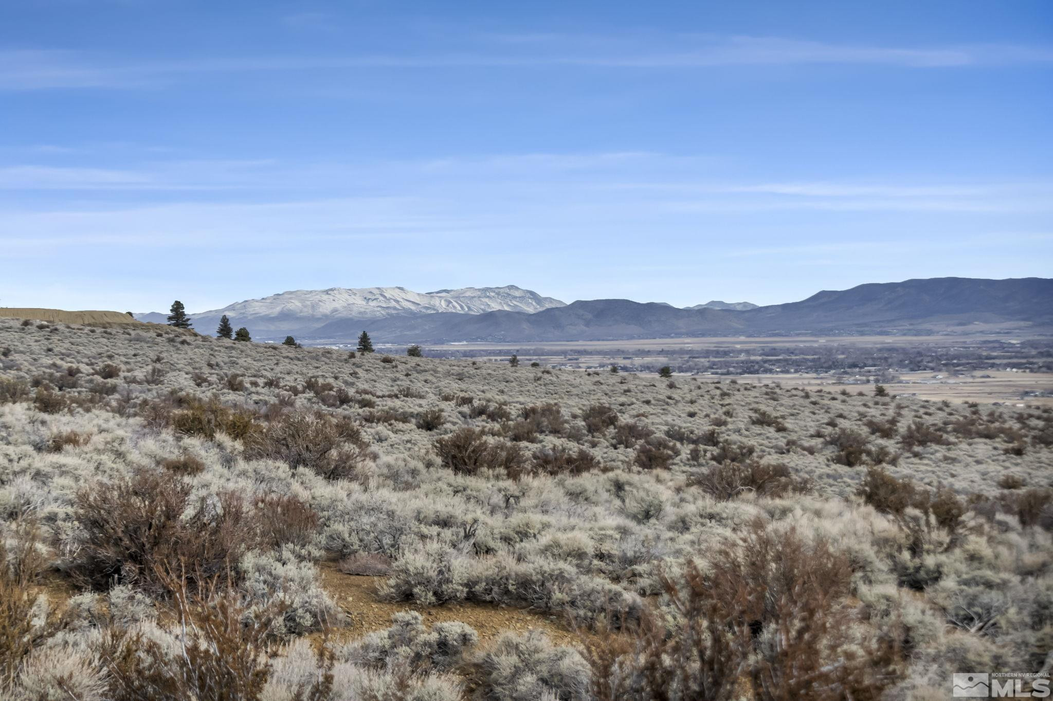 Lot 10 Hawkins Peak Road, Unit 10 Markleeville, CA 96120 - Photo 3 of 27 a view of a dry field