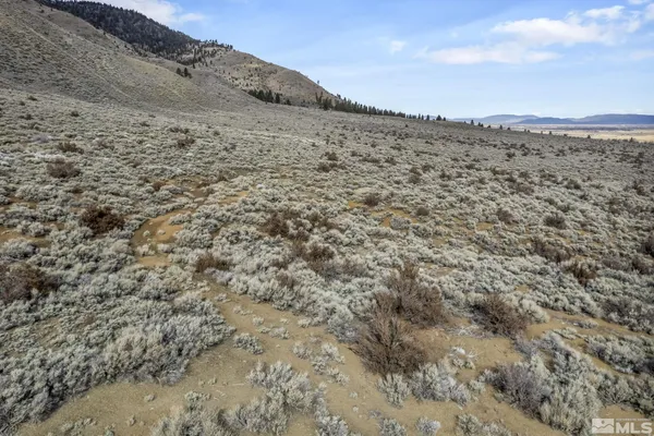 a view of a dry field
