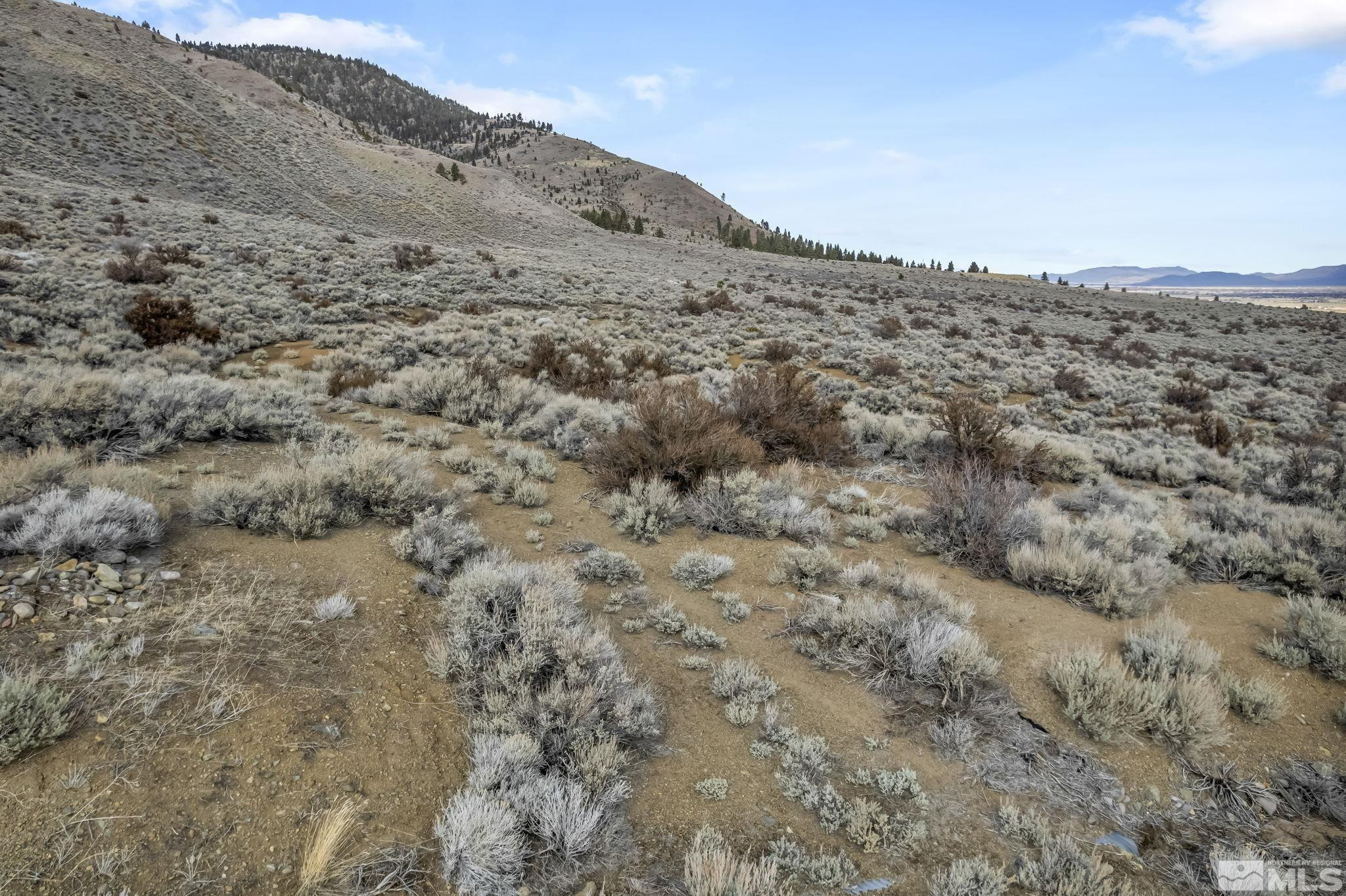 Lot 10 Hawkins Peak Road, Unit 10 Markleeville, CA 96120 - Photo 10 of 27 a view of a dry field