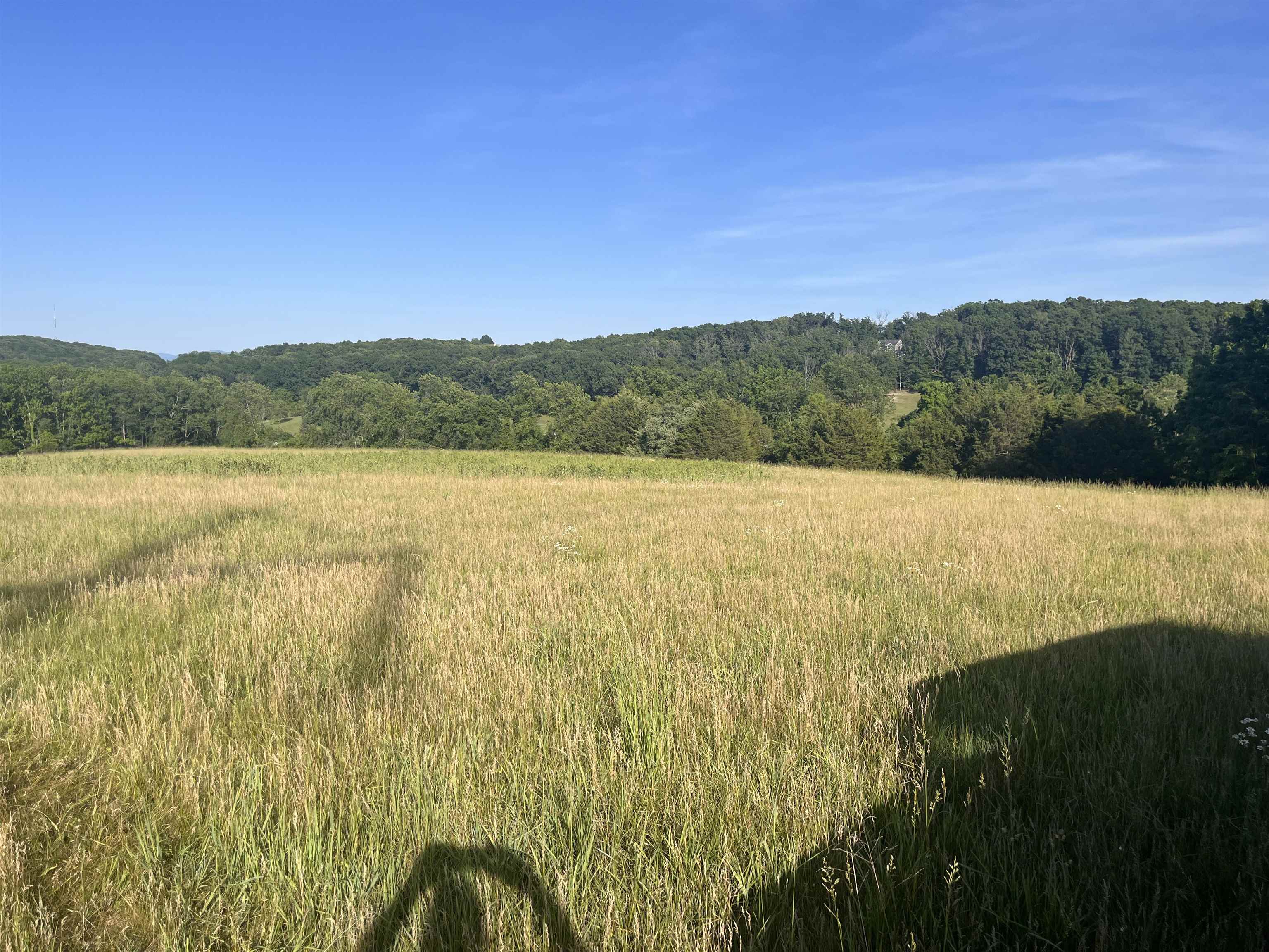 Tbd Galena Road Staunton, VA 24401 - Photo 19 of 20