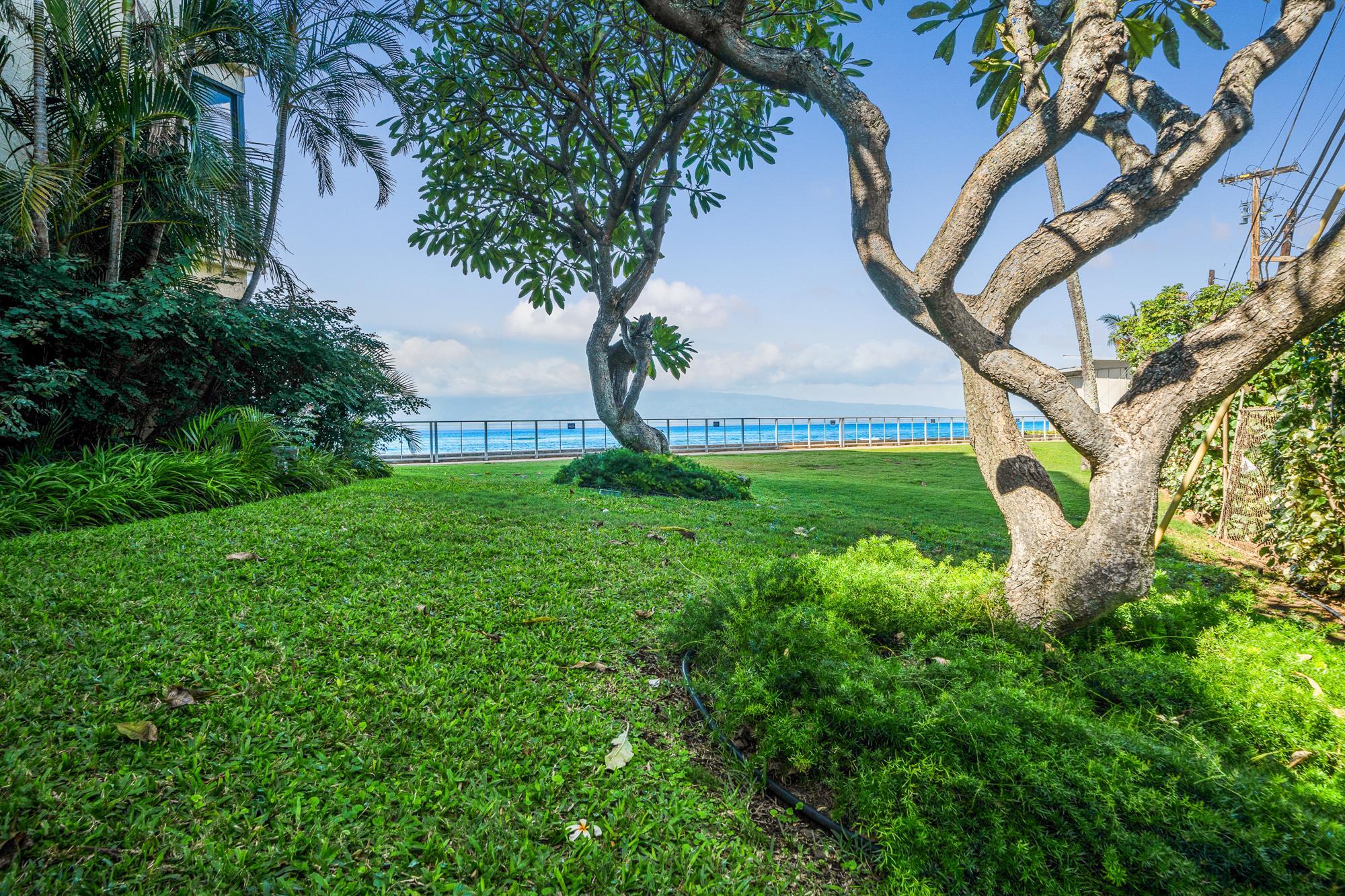 4401 Lower Honoapiilani Road, Unit A502 Lahaina, HI 96761 - Photo 29 of 39
