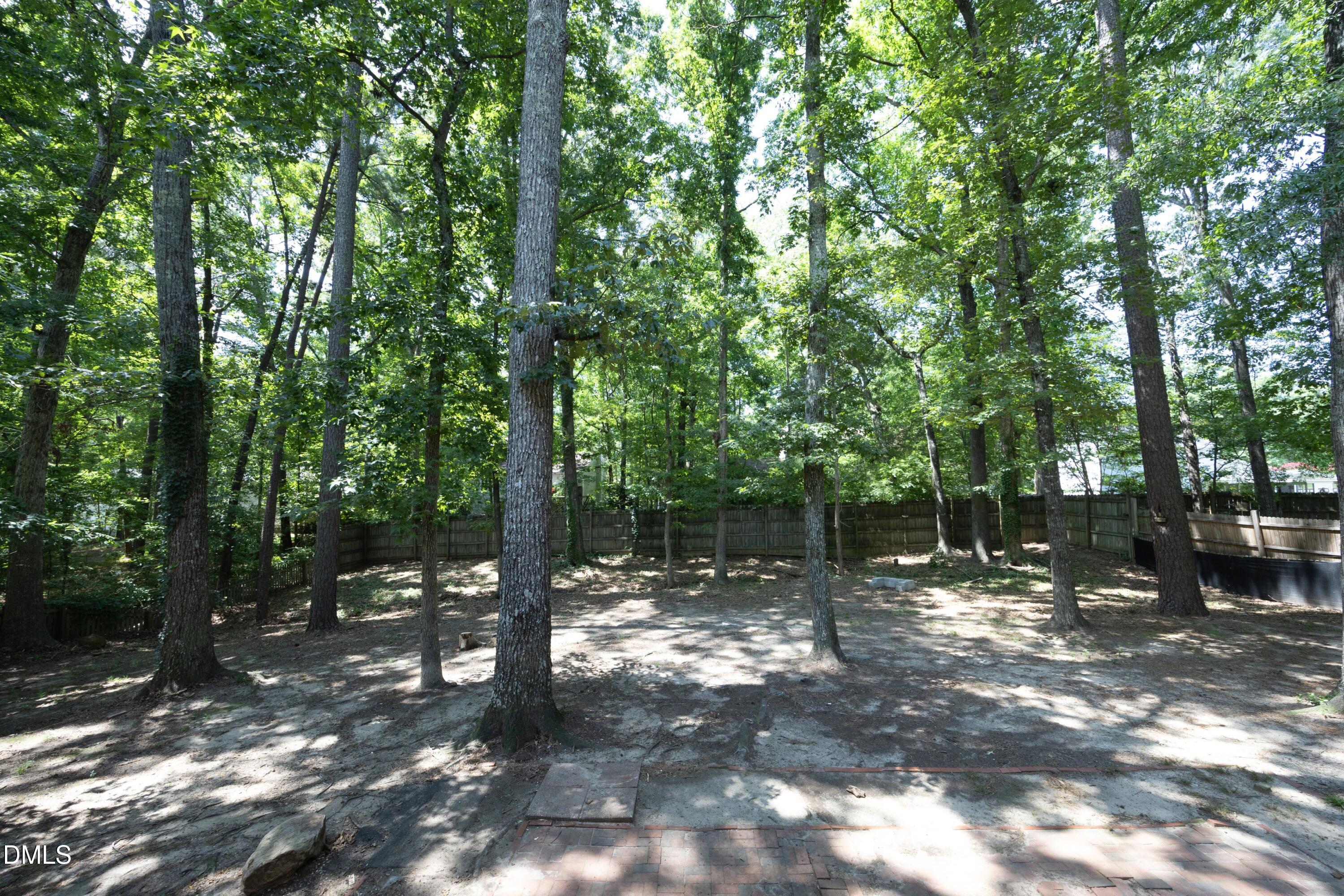 541 Bluestone Road Durham, NC 27713 - Photo 36 of 38 36Back
