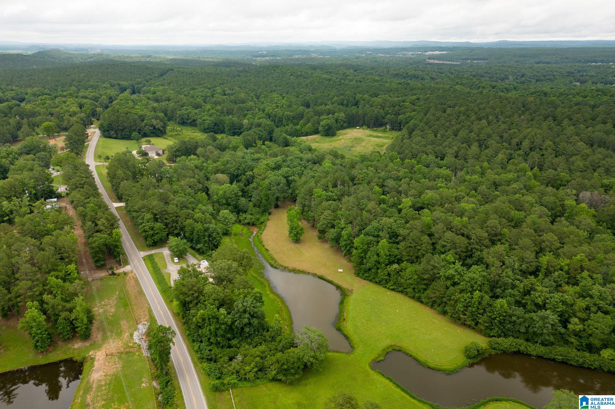 174 Martin Lane, Unit 1A Helena, AL 35080 - Photo 15 of 19