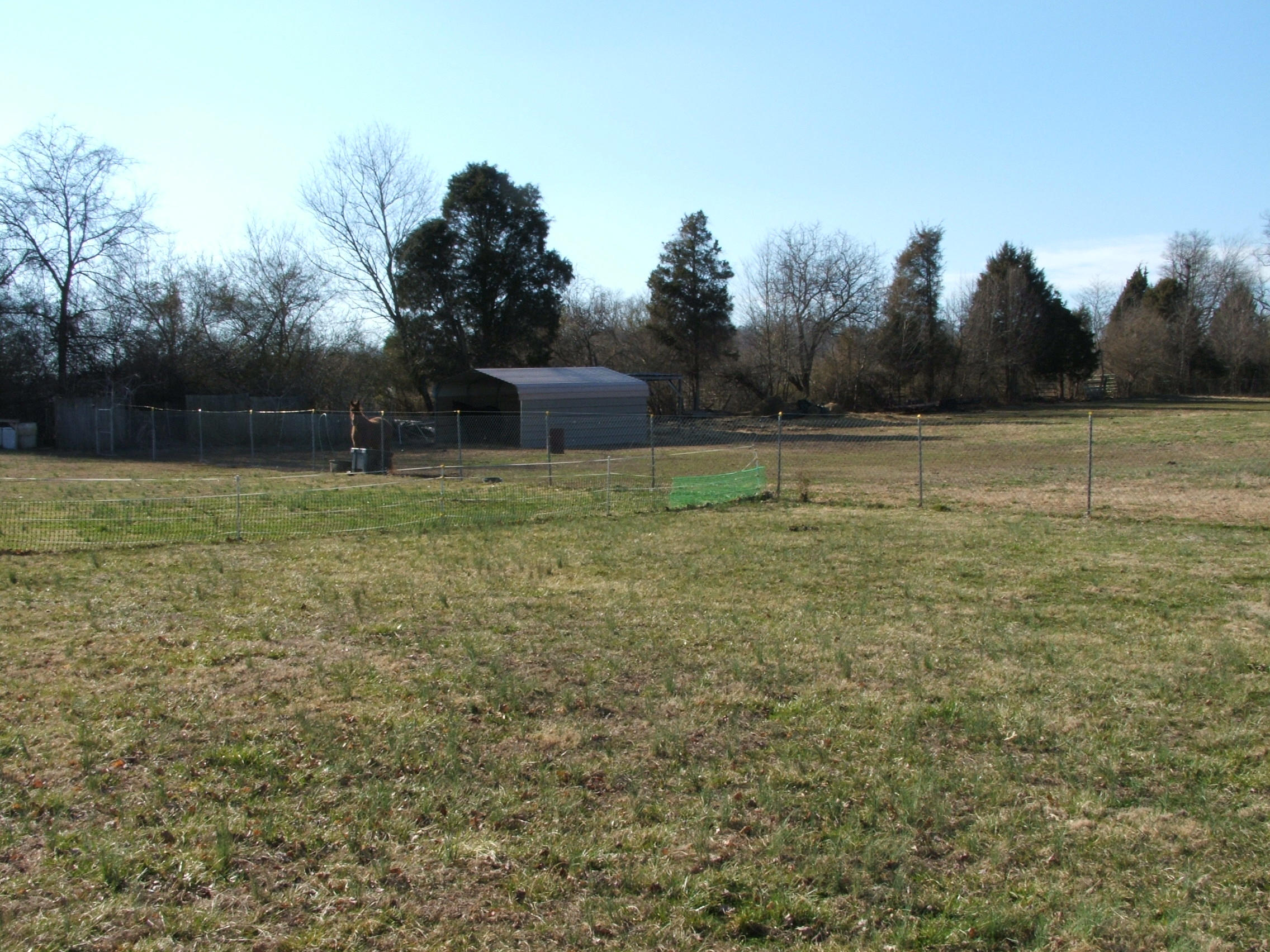 5115 West Emory Road Powell, TN 37849 - Photo 10 of 13 Rear Acre