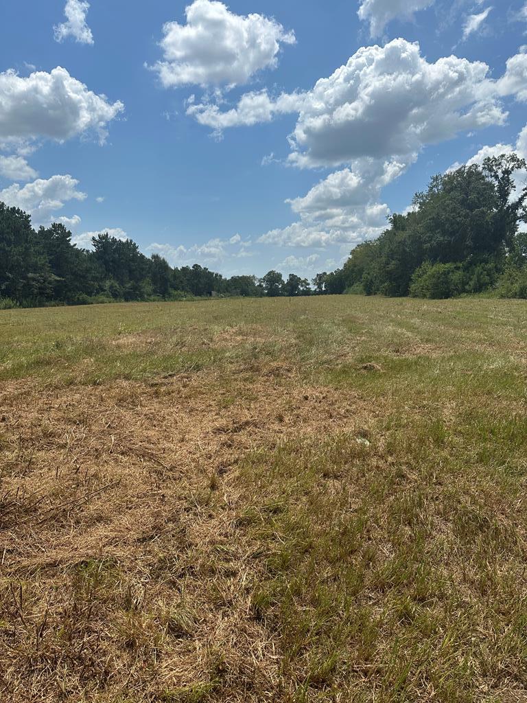 0 Thomley Road Newton, AL 36352 - Photo 1 of 8