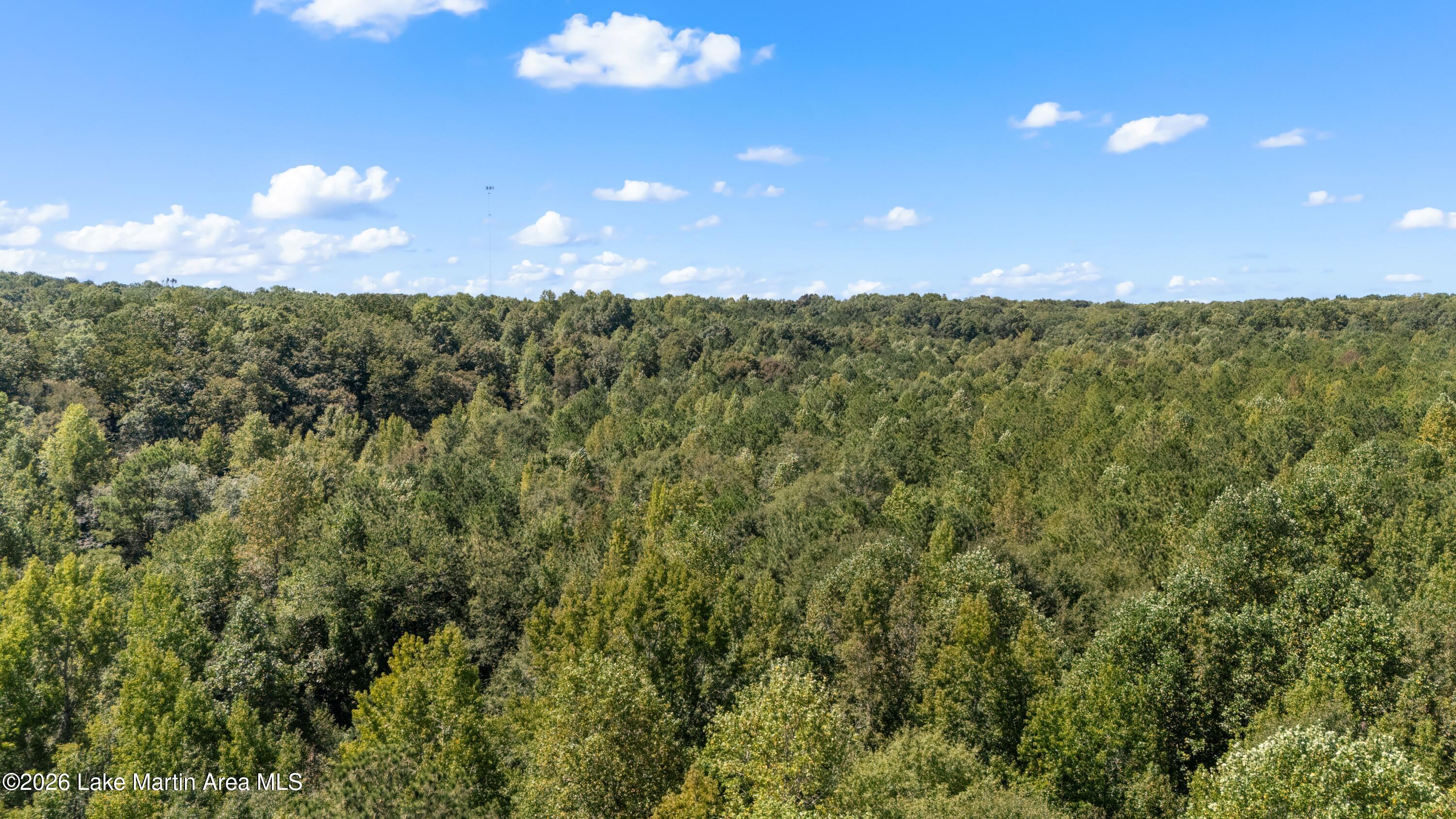 561 Deer Trail Road Daviston, AL 36256 - Photo 65 of 71 Gallery Image 65