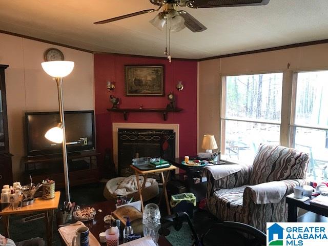 57 Peace Road Piedmont, AL 36272 - Photo 4 of 22