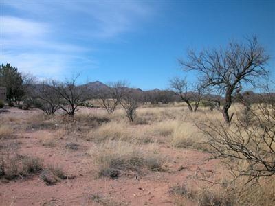 10 Marquez Tubac, AZ 85646 - Photo 2 of 2