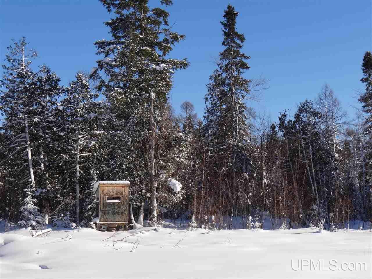 Tbd Irwin Road Baraga, MI 49908 - Photo 6 of 27