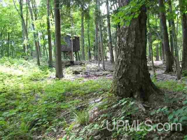 5108 East Maple Ridge Road Rock, MI 49880 - Photo 21 of 22