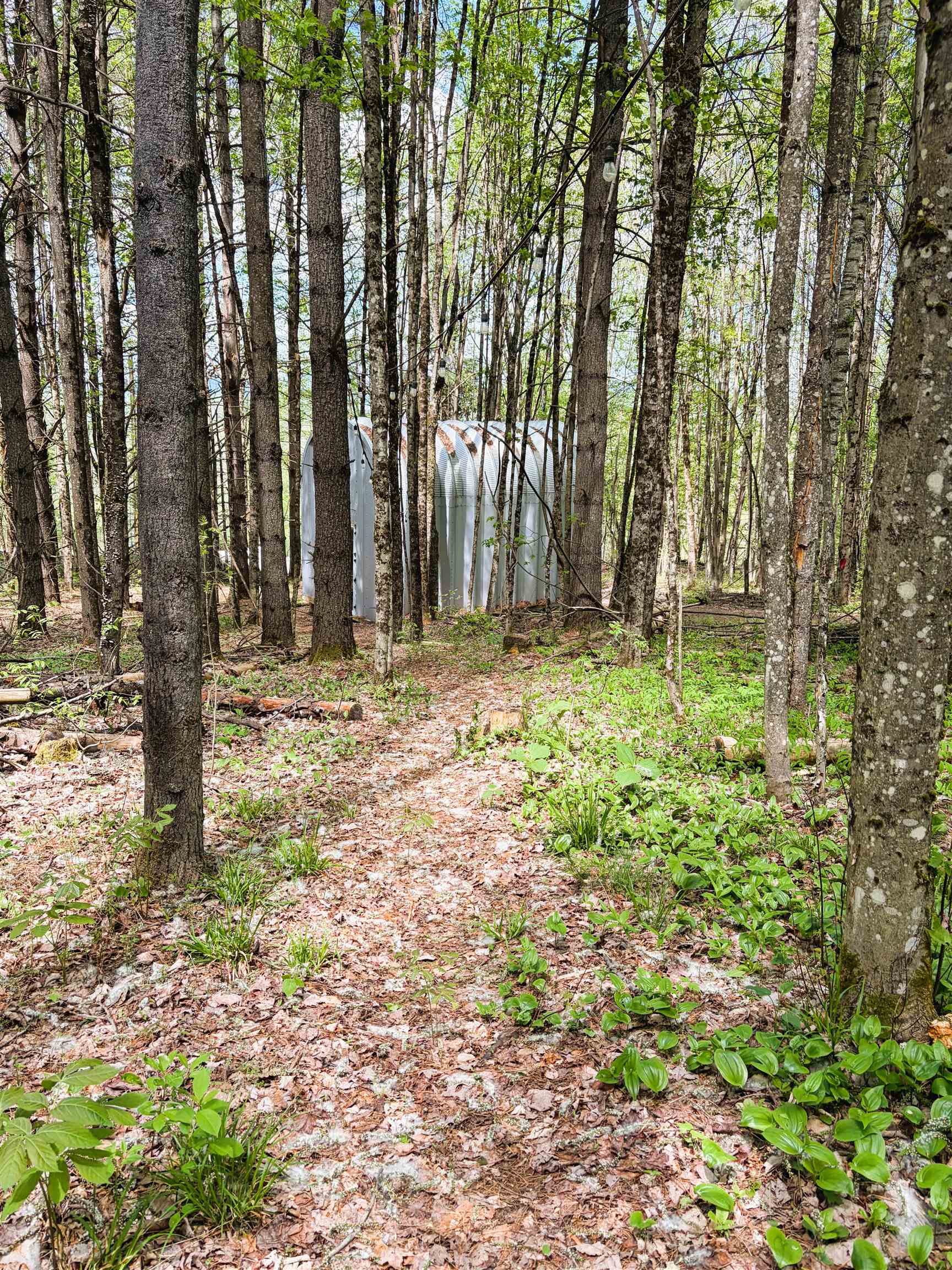 30 Dalton Road Dalton, NH 03598 - Photo 39 of 47