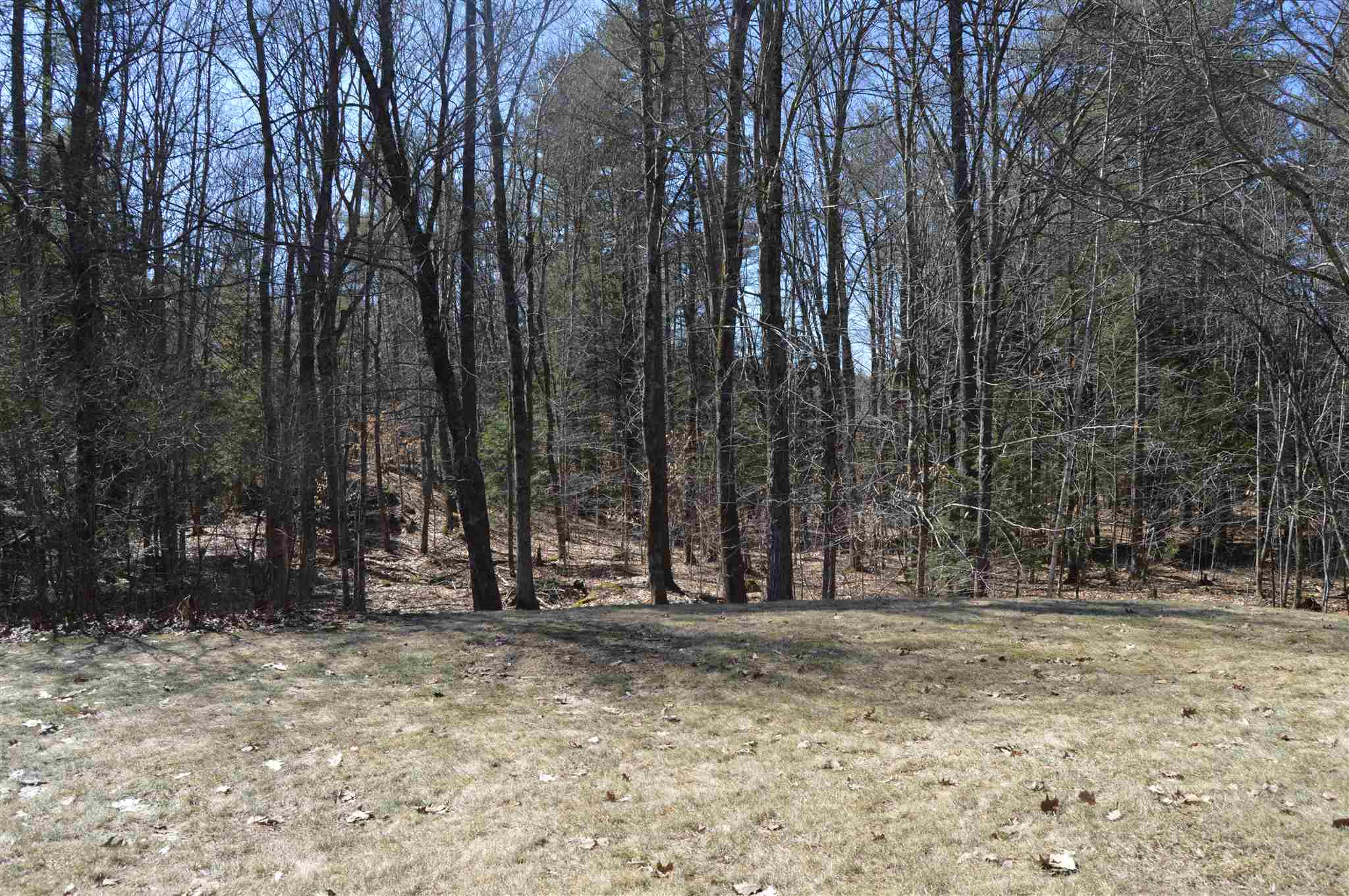 15 Gile Road Nottingham, NH 03290 - Photo 4 of 28 Gallery Image 4