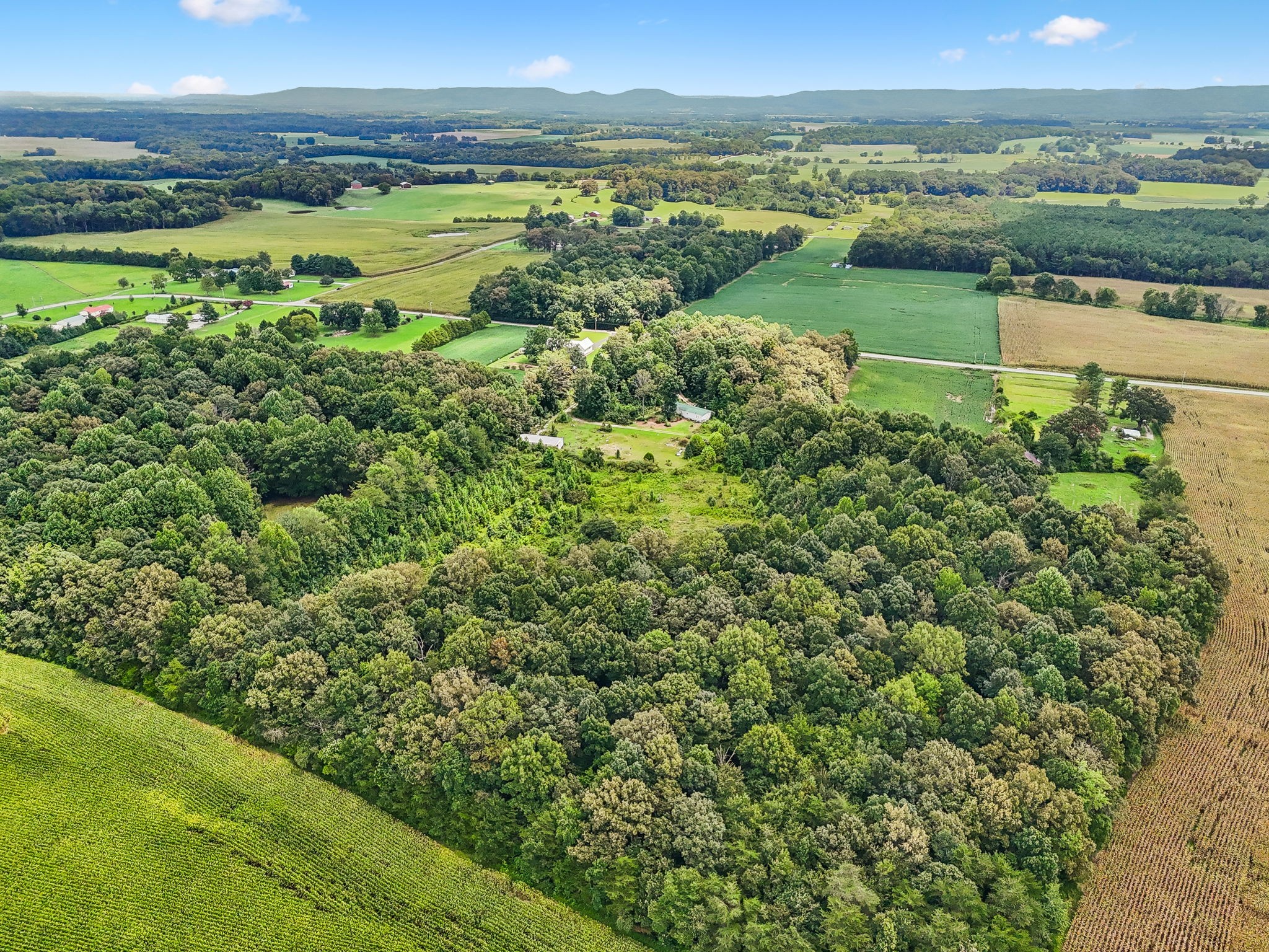 2010 Rock Road Morrison, TN 37357 - Photo 11 of 38 Gallery Image 11