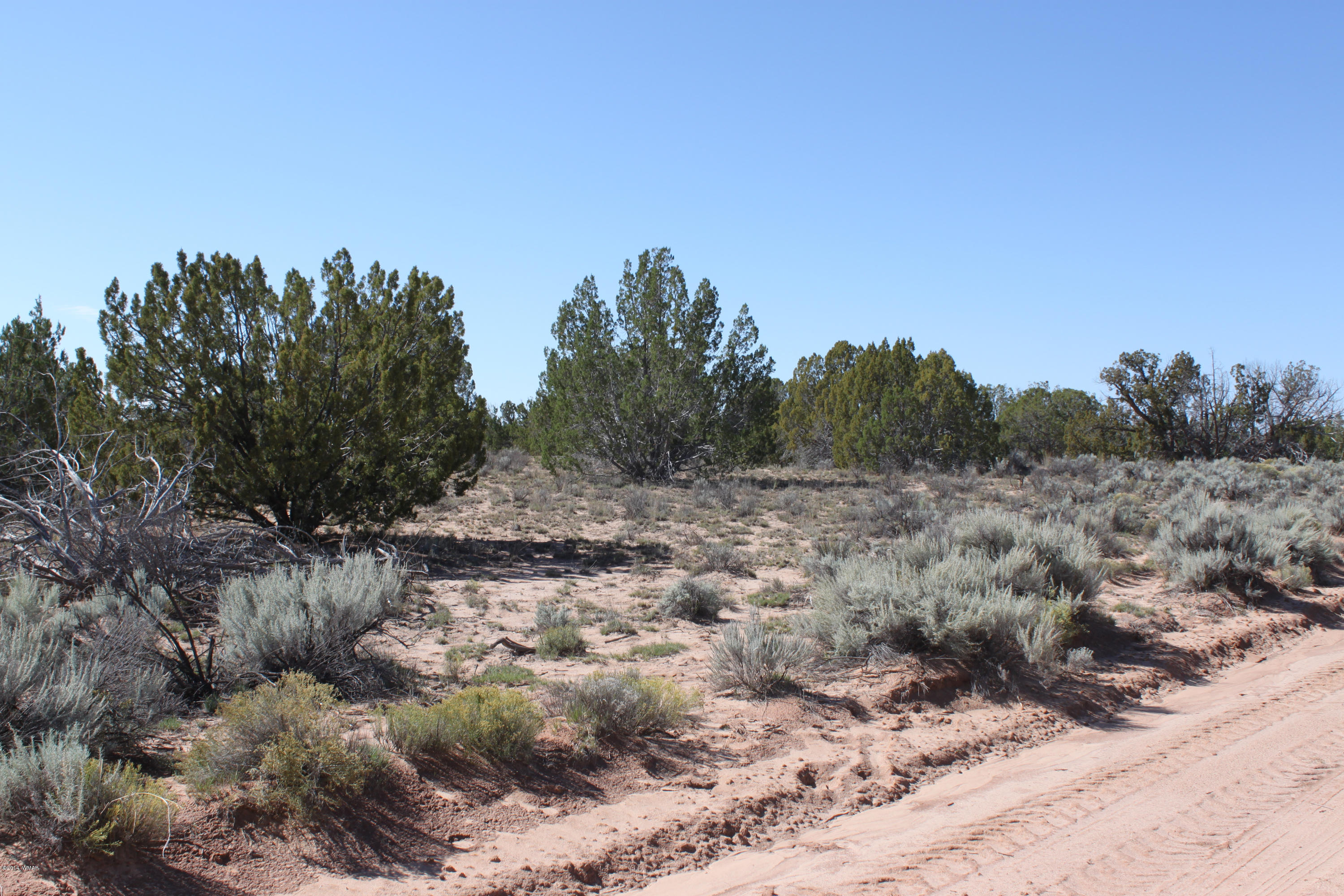 Lot 110 Red Sky Ranch St. Johns, AZ 85936 - Photo 3 of 7