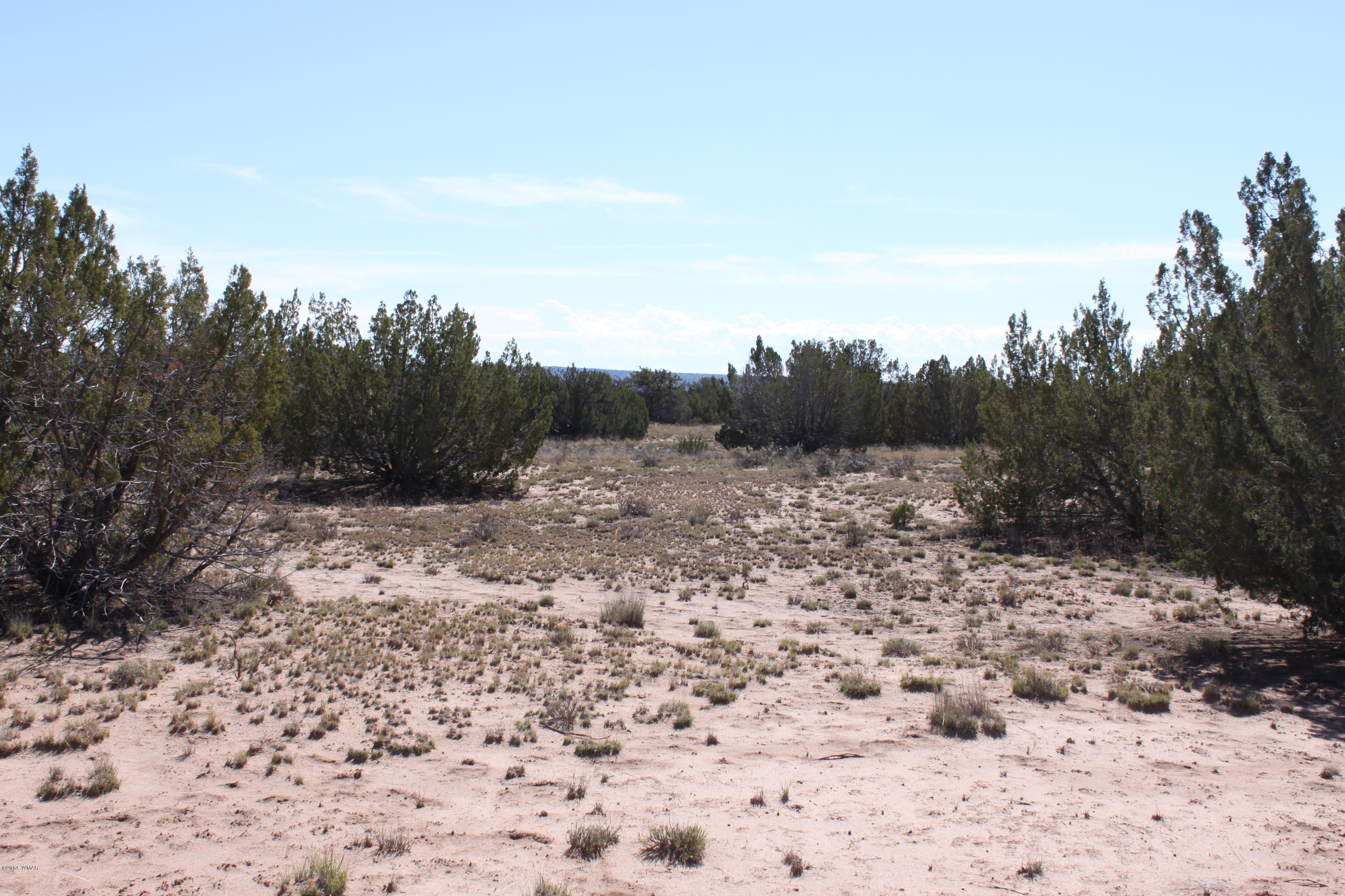 Lot 110 Red Sky Ranch St. Johns, AZ 85936 - Photo 4 of 7