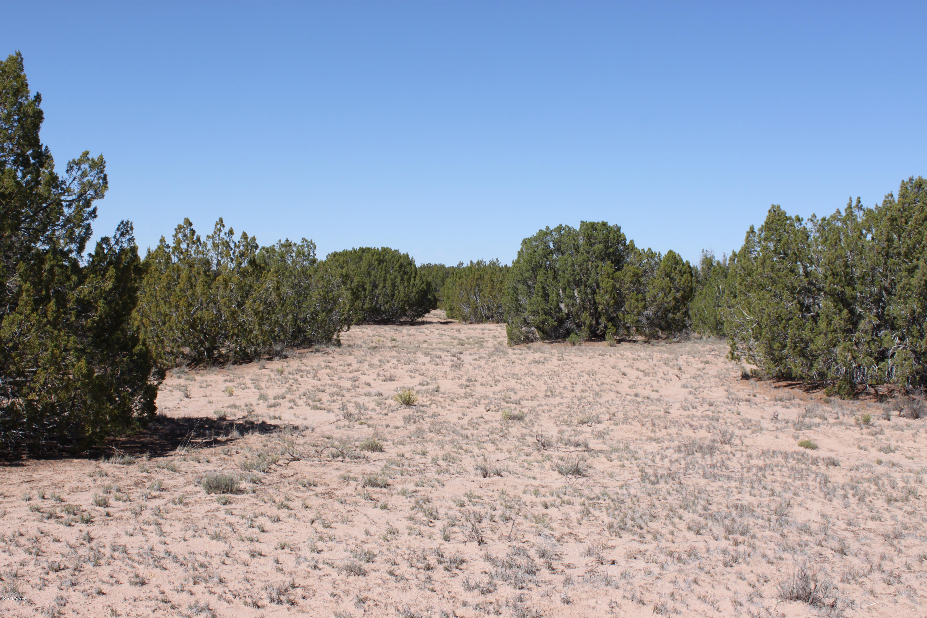 Lot 110 Red Sky Ranch St. Johns, AZ 85936 - Photo 5 of 7