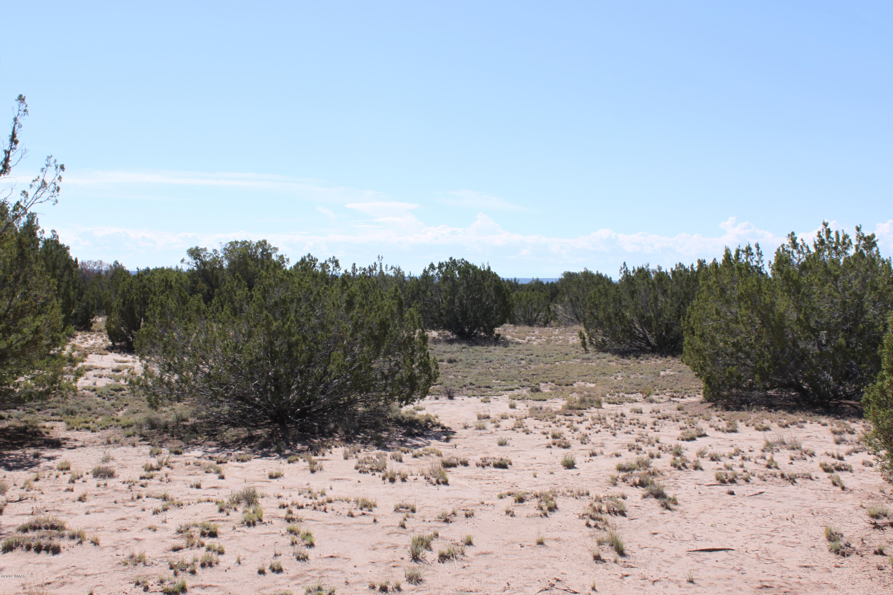 Lot 110 Red Sky Ranch St. Johns, AZ 85936 - Photo 6 of 7