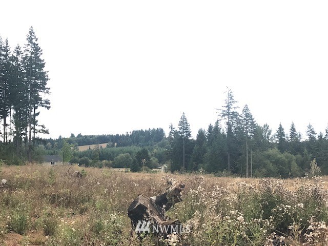 0 Penning Road Chehalis, WA 98532 - Photo 1 of 17