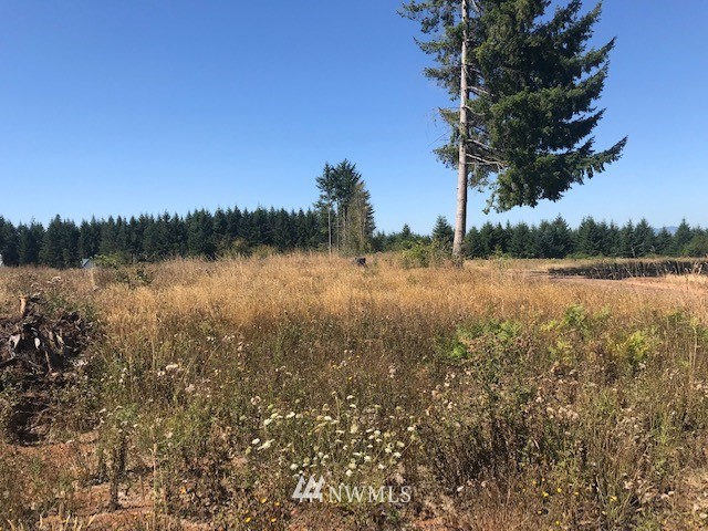0 Penning Road Chehalis, WA 98532 - Photo 2 of 17