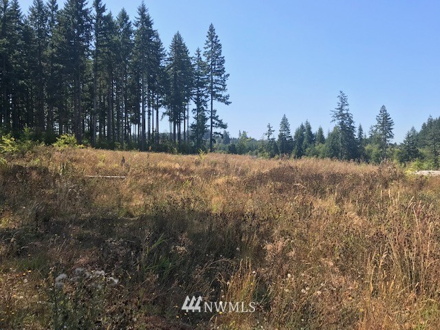 0 Penning Road Chehalis, WA 98532 - Photo 11 of 17